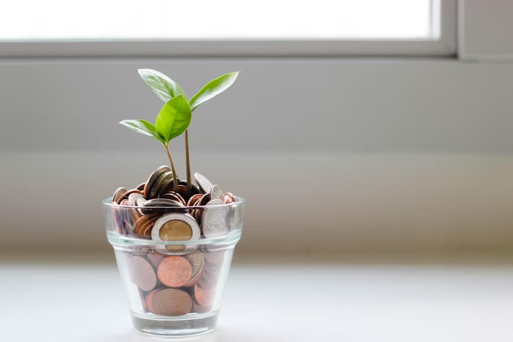 Understanding Amortization: Importance and Calculation
